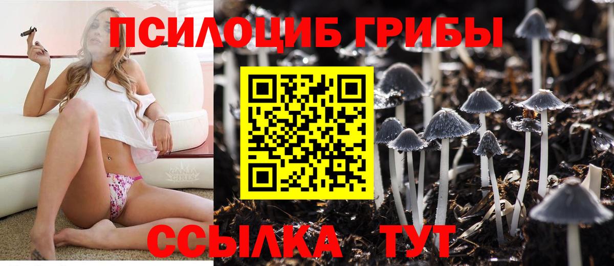 Псилоцибиновые грибы Magic Shrooms  Галлюциногенные грибы ЛСД  Холмск  Вход с VPN 