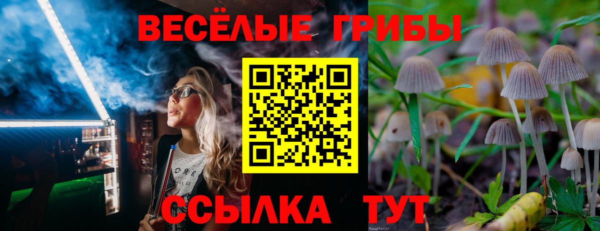 Галлюциногенные грибы Cubensis Холмск